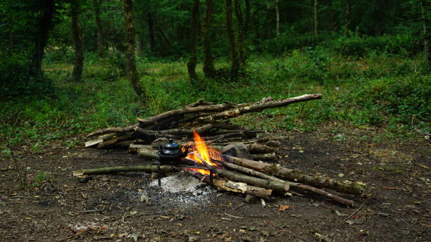 istock Campfire in forest, Camping in nature 1251541363