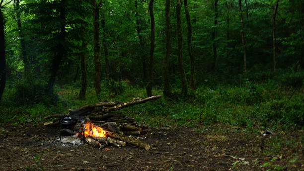 istock Campfire in forest, Camping in nature 1251541365
