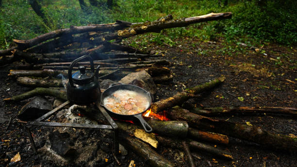 istock Cooking on campfire in forest, Camping in nature 1251541369