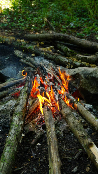 istock Campfire in forest, Camping in nature 1251541394