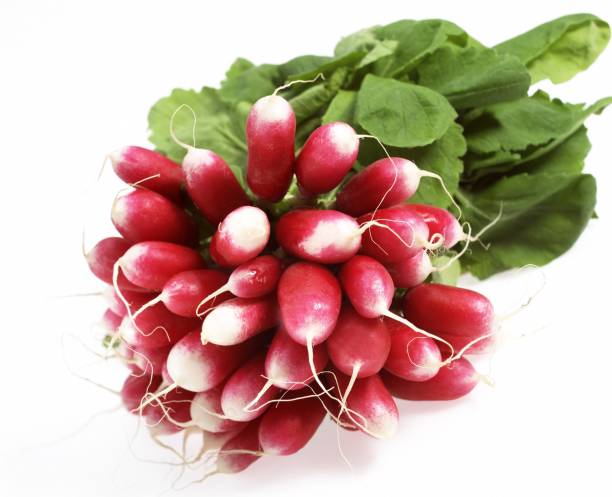 istock Pink Radish, raphanus sativus, against White Background 1251542516