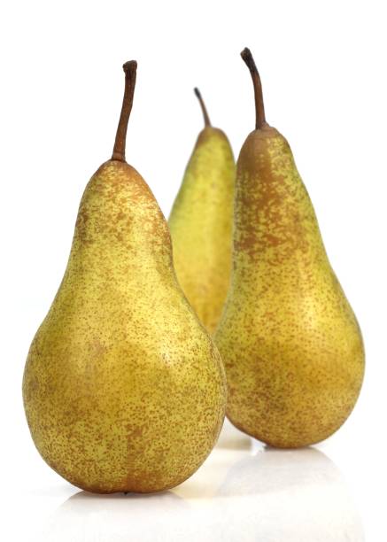 Conference Pear, pyrus communis, Fruits against White Background Conference Pear, pyrus communis, Fruits against White Background conference pear stock pictures, royalty-free photos & images