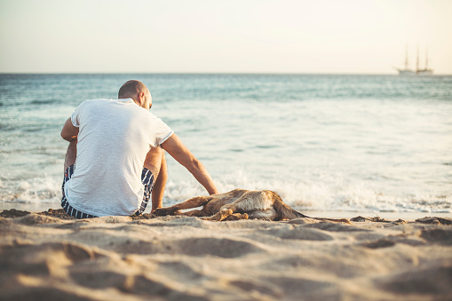 A person is relaxing on the beach with his dog. They are sitting in the shallows and cuddling on a sunny day.