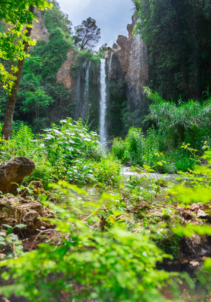 숲속의 큰 아름다운 폭포. - costa rica waterfall heaven rainforest 뉴스 사진 이미지