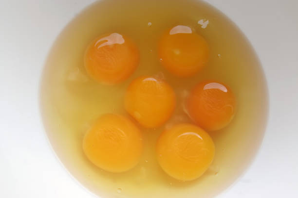 istock Egg yolks in a Bowl. Six eggs yolks. Eggs preparing for baking Cake. 1251544013