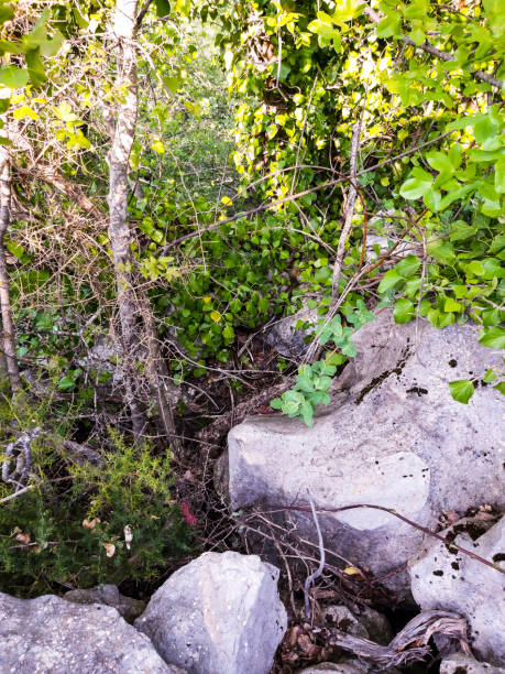 istock Nature Landscape Spring Evening hike 1251544888