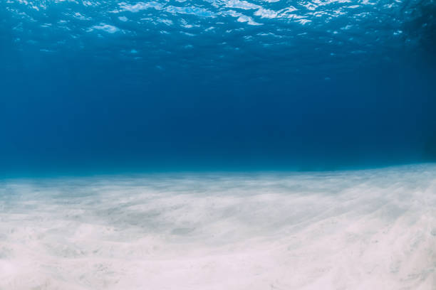 istock Tropical blue sea in the deep with white sand underwater in Hawaii 1251544941