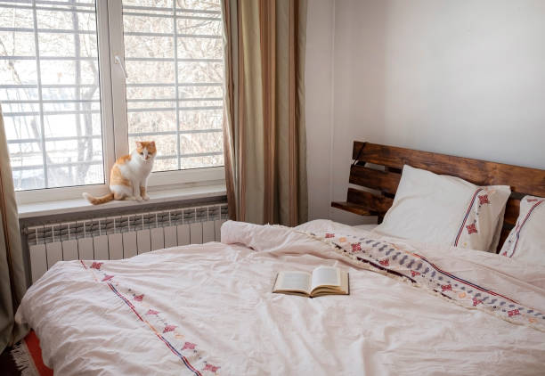 Bedroom interior with large bed, modern nightstand and wall lamp, armchair, many books around, plant, blank wall. Copy space template