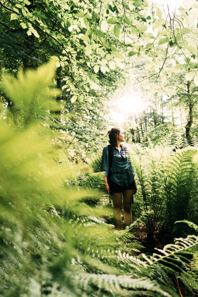 istock female hiker among the foliage 1251545358