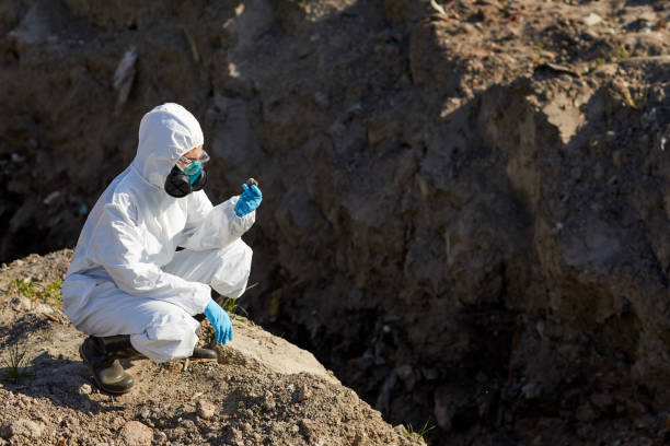istock Biologist examining the area 1251547408