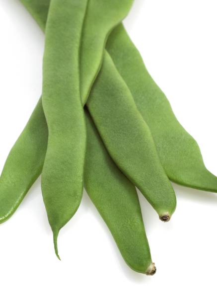 istock French Bean called Coco Plat, phaseolus vulgaris, Vegetable against White Background 1251548742