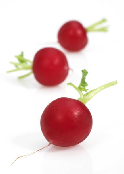 istock Red Radish, raphanus sativus, against White Background 1251548919