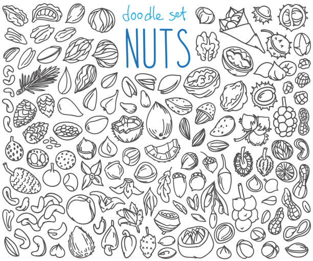 Nuts doodles set. Hand drawn vector illustration isolated on white background pecan icon stock illustrations