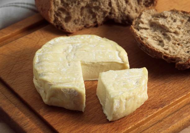 istock French Cheese called Saint Marcelin with Bred, Cheese made with Cow's Milk 1251550391