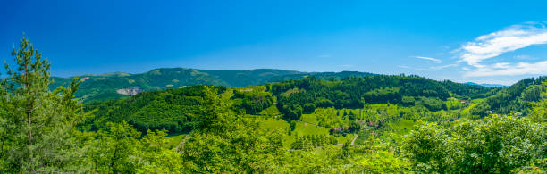 bellissimo panorama foresta nera panoramica valle alberi verdi famrhouse cielo blu - black forest forest sky blue foto e immagini stock