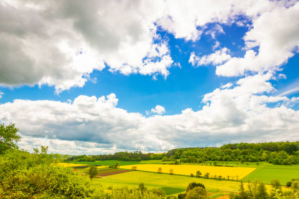 istock Beautiful spring countryside, green yellow fields, bushes trees blue sky 1251550561