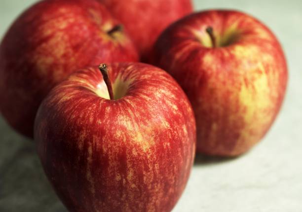 istock Royal Gala Apple, malus domestica 1251551255