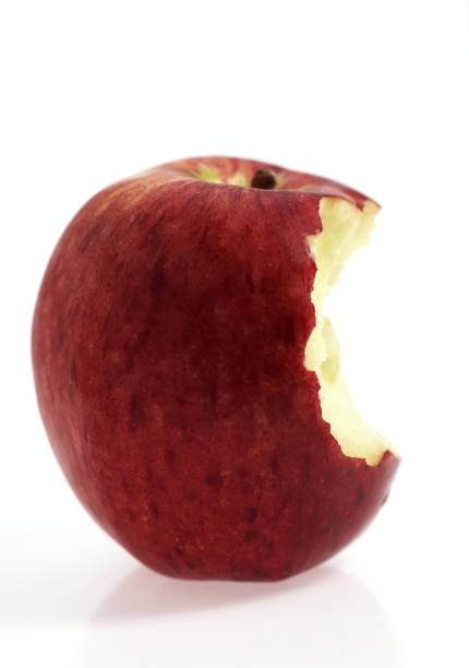 istock Royal Gala Apple, malus domestica, Fruit against White Background 1251551312