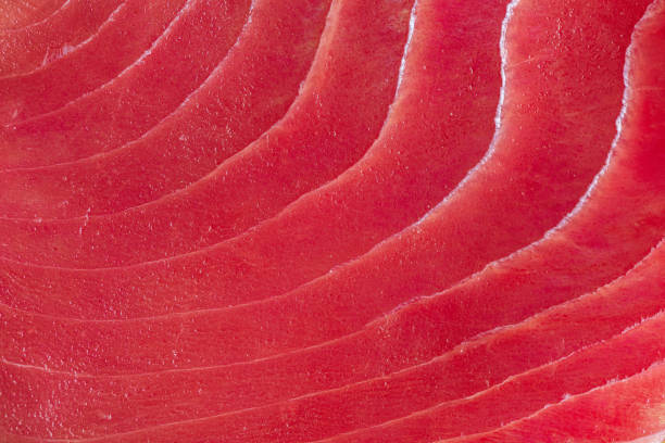 raw tuna steak close-up - tuna tuna steak raw freshness imagens e fotografias de stock