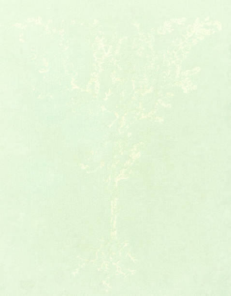 istock Background of cover of old book. 1251551706