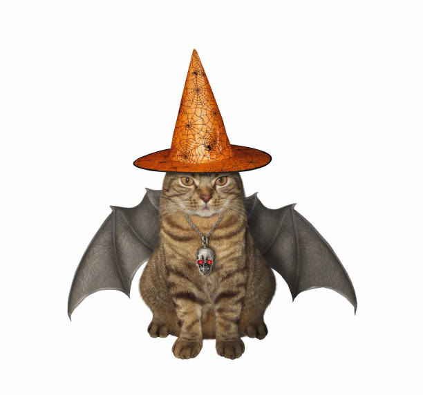 istock Cat with bat wings for halloween 1251554082