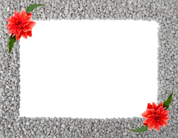 Summer or autumn frame made of grey stones,smooth pebbles,piles of rocks with orange flowers of Royal Dahlia,green leaves in corners.Rectangular empty copy space.Stone texture isolated on white background,top view.Close up nature design