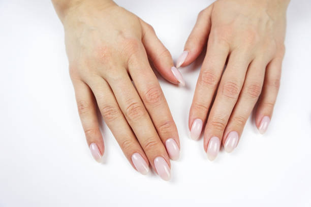 istock Classic pink manicure. Young woman's hands on white background. 1251555492