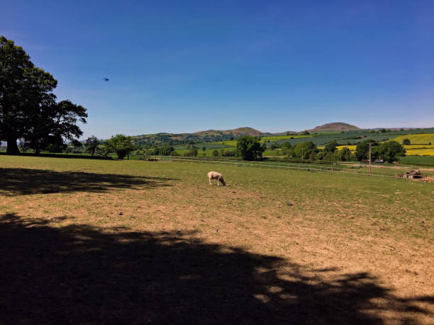 istock A view of the Shropshire Countryside 1251556957