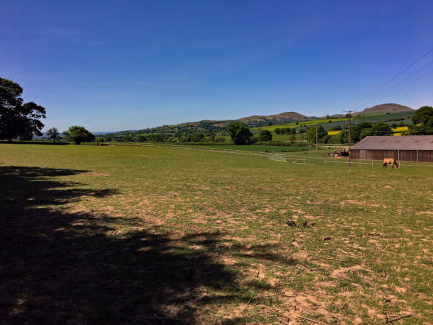 istock A view of the Shropshire Countryside 1251556974