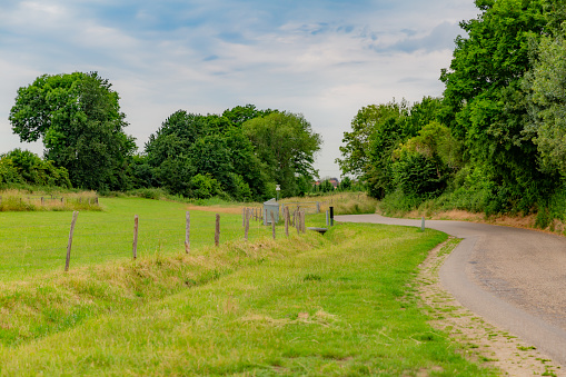 Older couple walking on footpath through nature near town of Ootmarsum, Overijssel, Netherlands