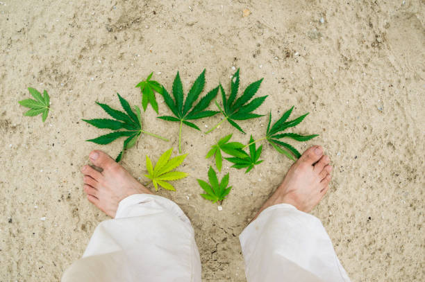 istock A young man's bare feet and hemp leaves on the sand. 1251559098