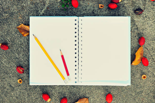 istock Book and pencil on concrete floor 1251559362