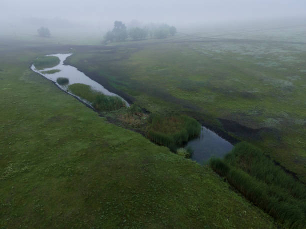 istock Morning fog over the river 1251559535