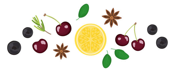 Top view fruit and herb, spice, ingredients, recipe illustration in theme of healthy food of winter and fall season. red cherry, lemon, blueberry, star anise. Isolated on white background Top view fruit and herb, spice, ingredients, recipe illustration in theme of healthy food of winter and fall season. red cherry, lemon, blueberry, star anise. Isolated on white background star anise stock illustrations