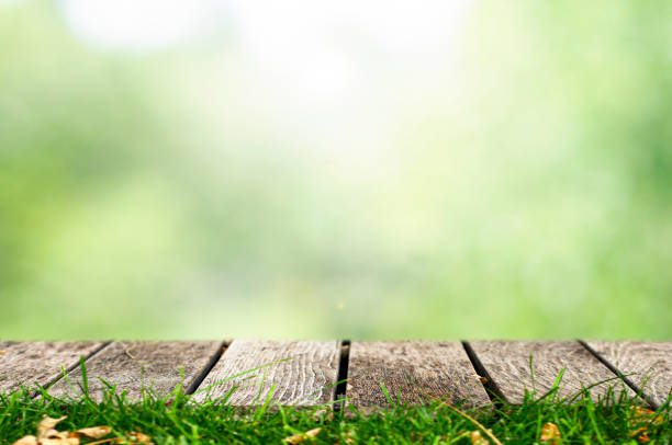 istock Nature background with wood table 1251562830