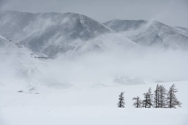 istock Winter in mountains. Blizzard. Snow. 1251565508