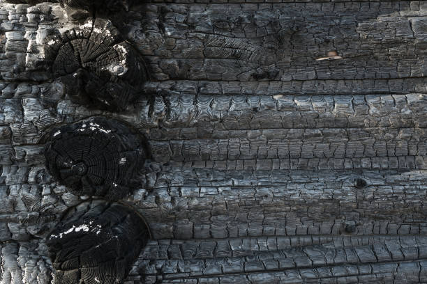 istock Burnt wooden house. Coal log. 1251565687