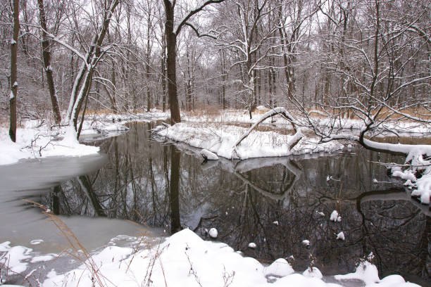 istock Winter scene of a pond, snow, and trees 1251566472
