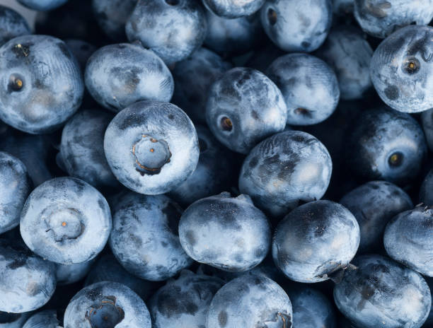 istock Fresh Blueberry Background. Texture blueberry berries close up. Sprinkle blueberries. Top view. Fresh blueberries scattered. Bunch of blueberries. 1251566948