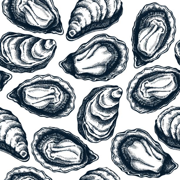 Ilustración de Patrón Sin Costura De Conchas De Ostras Dibujadas A Mano y más Vectores Libres de Derechos de Ostra - iStock Ilustración de Patrón Sin Costura De Conchas De Ostras Dibujadas A Mano y más Vectores Libres de Derechos de Ostra - iStock