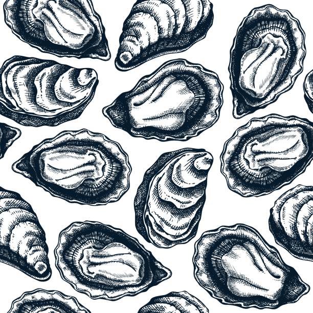 Hand drawn oyster shells seamless pattern. Hand drawn oyster shells seamless pattern. Vector package, banner, cover, wrapping paper template with trendy seafood elements. Realistic cooked oysters background. Seafood backdrop. oyster stock illustrations