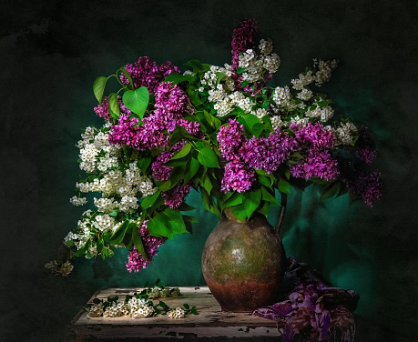 Classic still life with bouquet of beautiful white and purple lilac in old vintage jug in a ray of light on green background . Art photography.