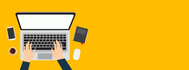 950+ Person Laptop Blank Background Stock Illustrations, Royalty-Free ...