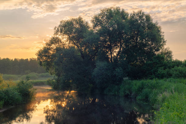 istock Summer landscape in Belarus. Sun rays at dawn break through a beautiful tree and reflect on a calm surface of the water. 1251573956