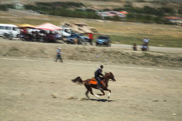 a Girl on a running horse in the summer sun. Note: there are motion blur, because the horse is running!