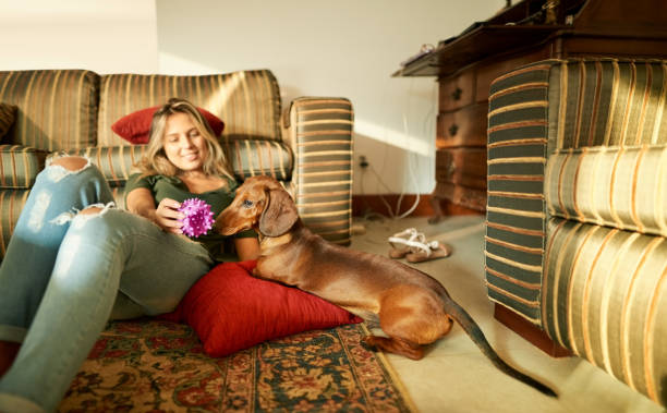 istock Woman with her pet at home 1251579357