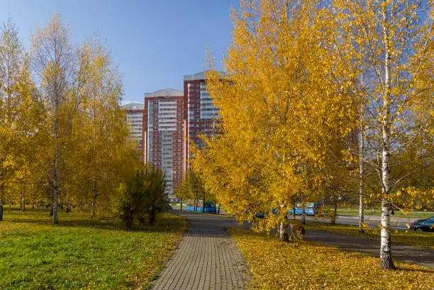 Golden Autumn in Moscow - a small park near Svetlanova Street. Sunny day in October.
