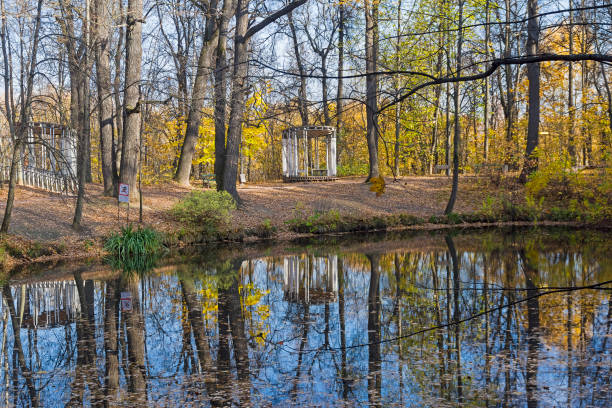 Pond in the autumn forest park. Nature reserve on the Sparrow Hills, Moscow, Russia. Sunny day in October.