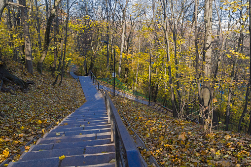 A staircase descending the steep bank of the Moskva River. Nature reserve on the Sparrow Hills, Moscow. Sunny day in September.