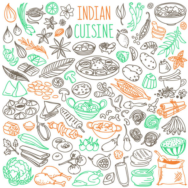 Indian food doodles set. National cuisine, main dishes, desserts, drinks. Hand drawn vector illustration isolated on white background fusion food stock illustrations